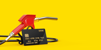 Watch misni sdedn nises