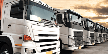 Watch misni sdedn nises